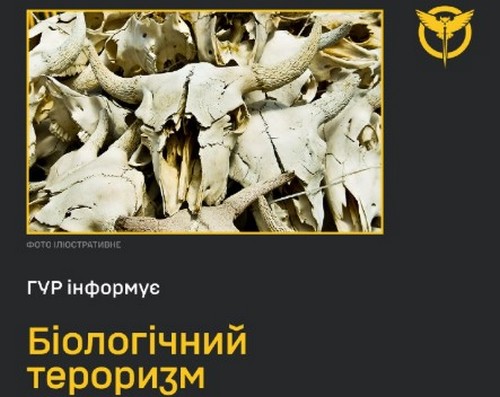 Росіяни створюють умови для поширення сибірської виразки в Херсонській області - ГУР Росіяни створюють умови для поширення сибірської виразки в Херсонській області - ГУР